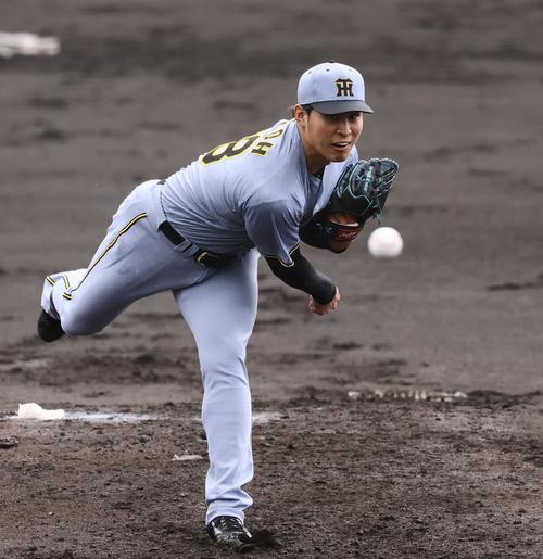 紅白戦　2回、2番手で登板した紅組佐藤蓮（撮影・藤尾明華）