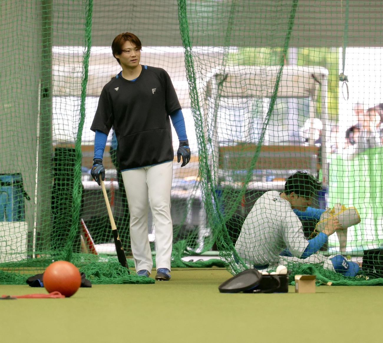 室内打撃練習に臨む日本ハム山崎（撮影・河田真司）