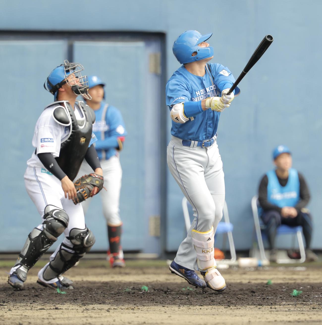 紅白戦　4回表、左飛を放つ清宮幸（撮影・河田真司）