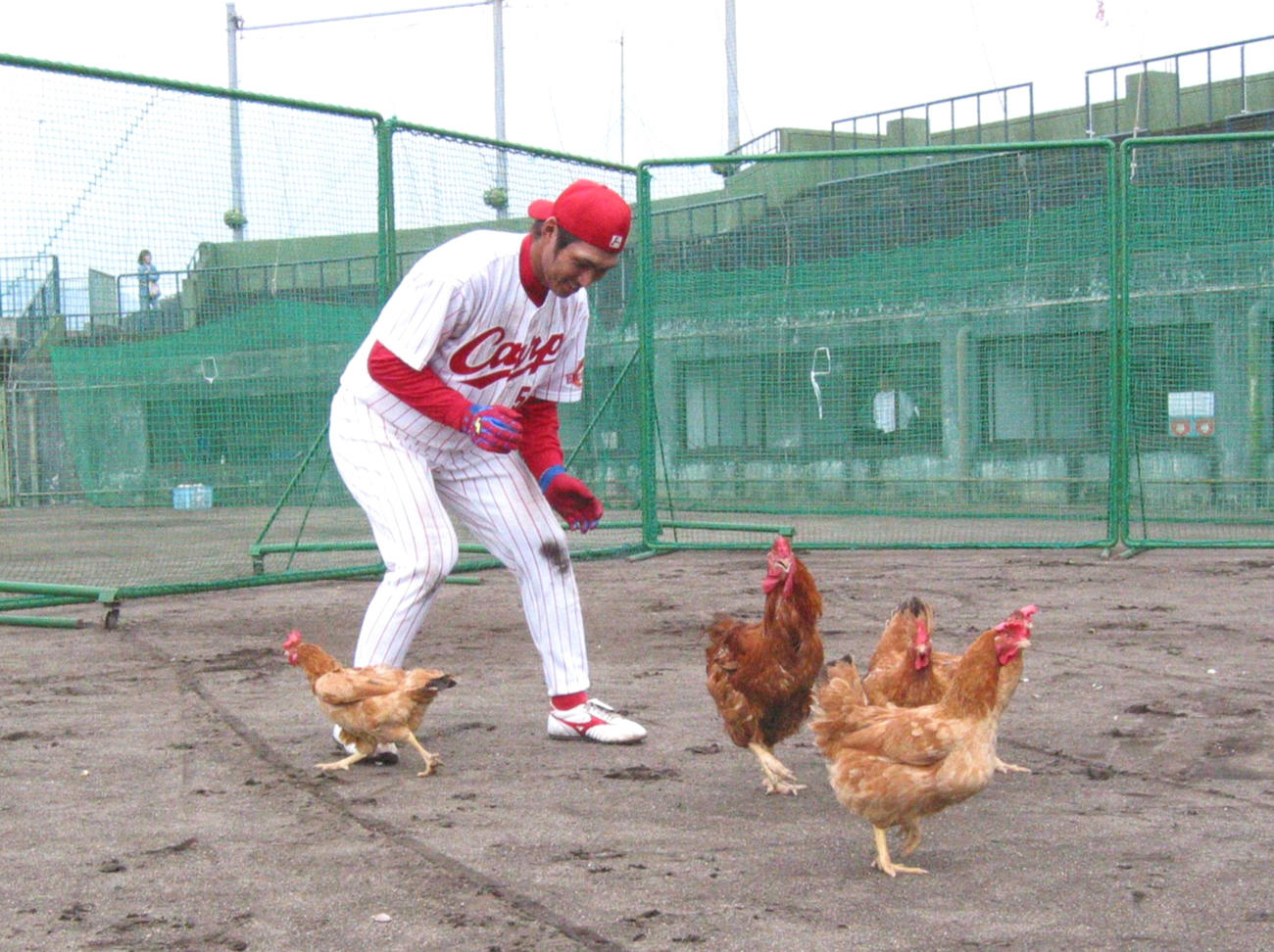 「地鶏トレーニング」で汗を流す栗原健太（2003年11月撮影）