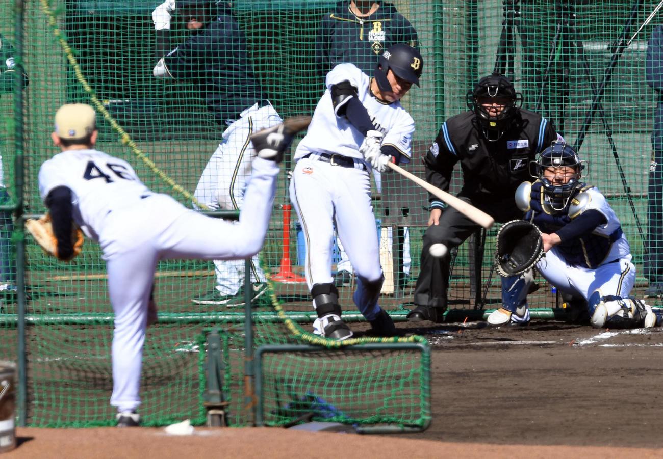 ライブBPで本田仁から右前打を放つ麦谷（撮影・前岡正明）