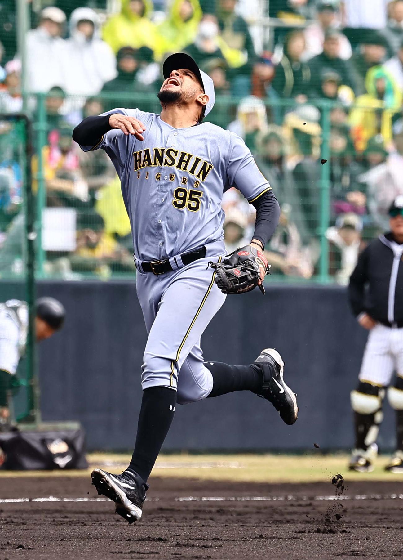 紅白戦　2回裏白組無死、ヘルナンデスは中川の三飛を捕球する（撮影・上田博志）