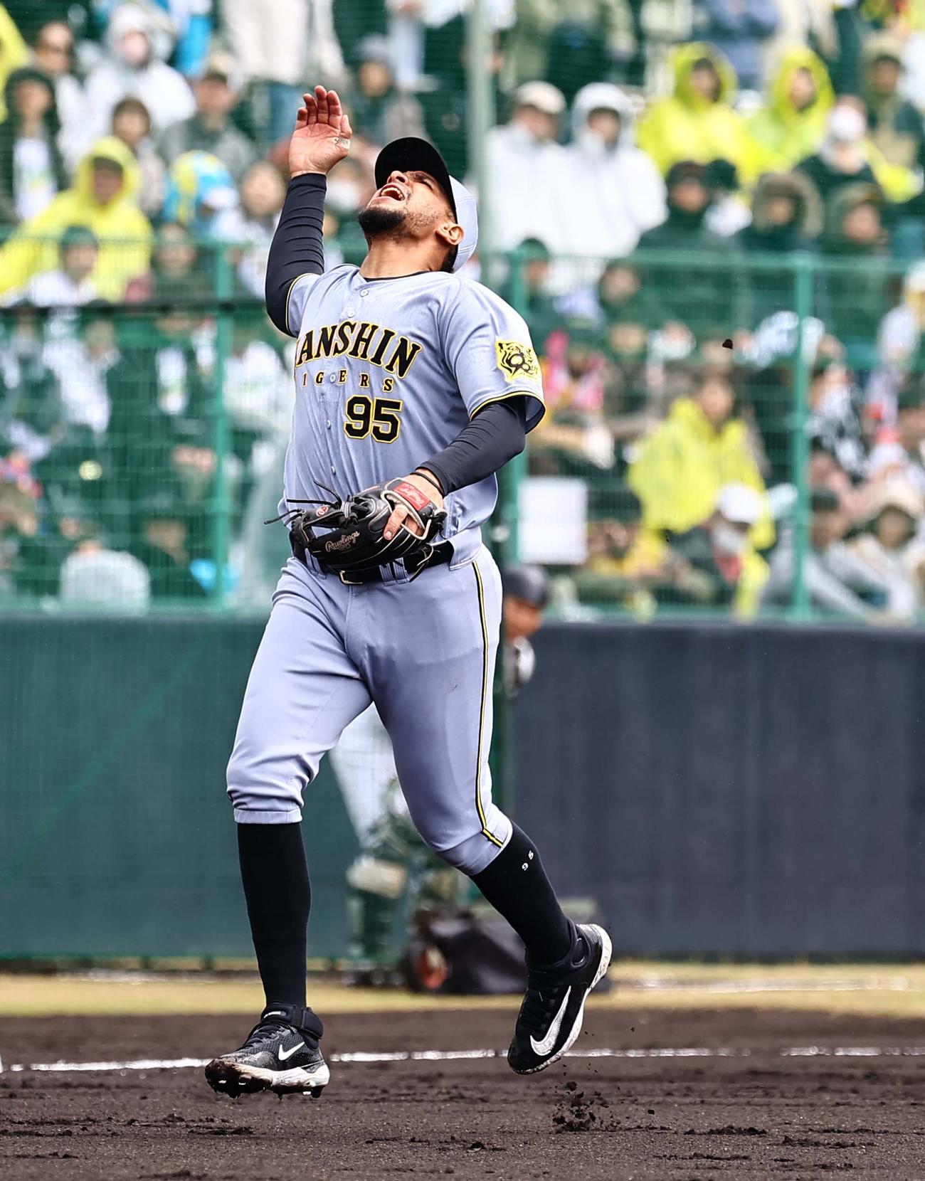 紅白戦　2回裏白組無死、ヘルナンデスは中川の三飛を捕球する（撮影・上田博志）