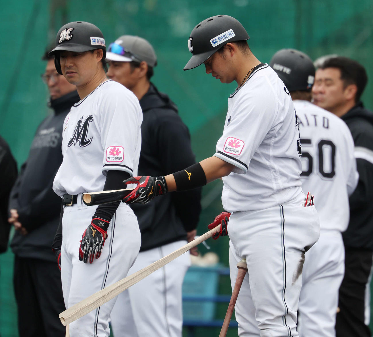 ライブBPでロッテ石垣が折ったバットを見つめる佐藤（撮影・宮地輝）