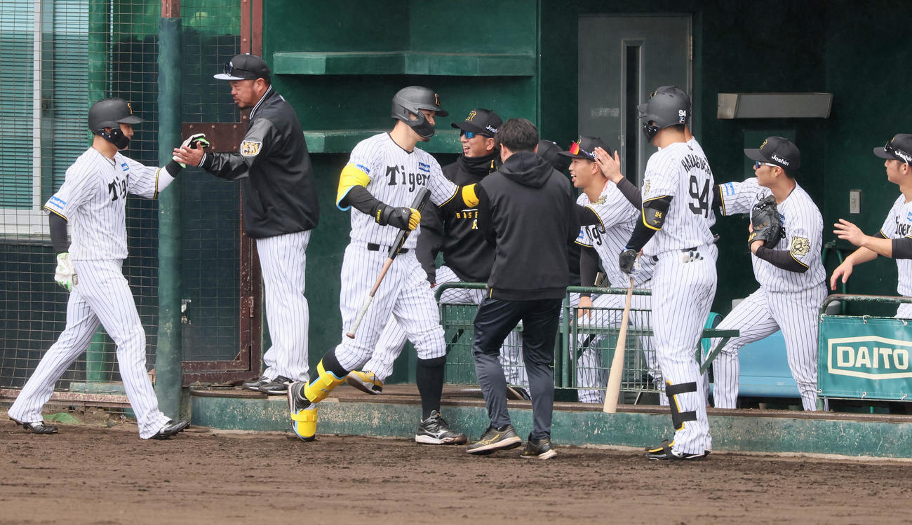紅白戦　1回裏白組1死一塁、佐藤輝は右越え2点本塁打を放ちベンチでナインとタッチする（撮影・加藤哉）