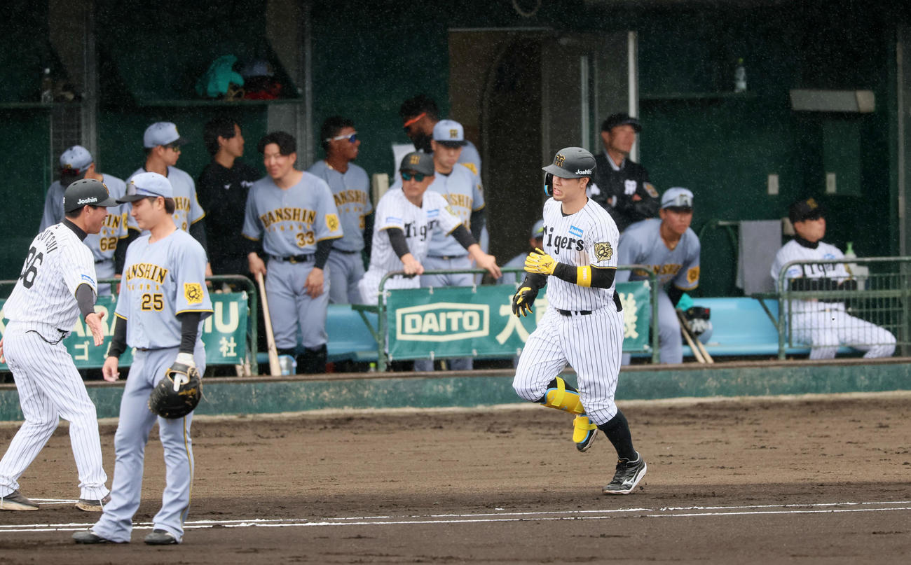紅白戦　1回裏白組1死一塁、佐藤輝は右越え2点本塁打を放つ（撮影・加藤哉）