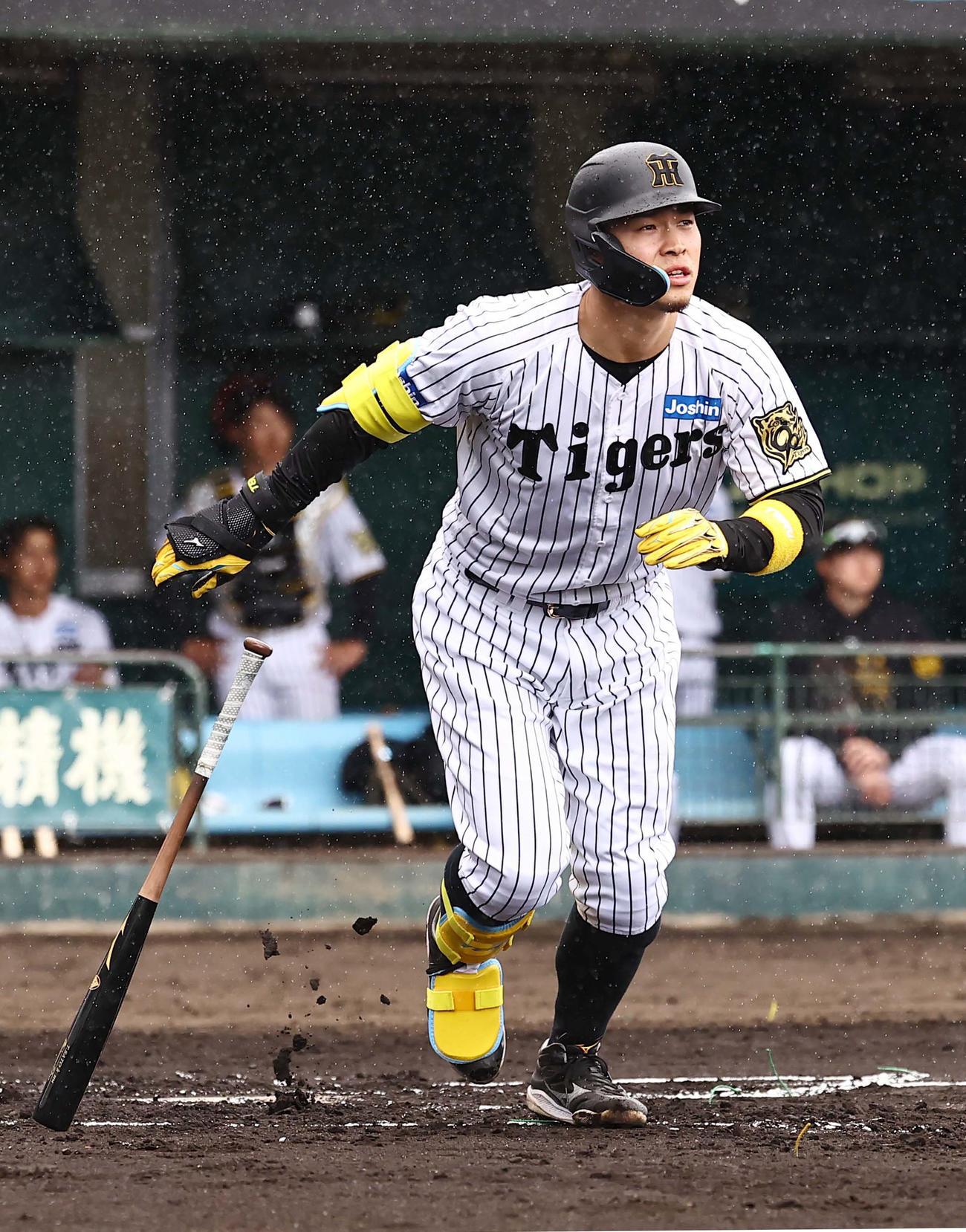 紅白戦　1回裏白組1死一塁、佐藤輝は右越え2点本塁打を放つ（撮影・上田博志）