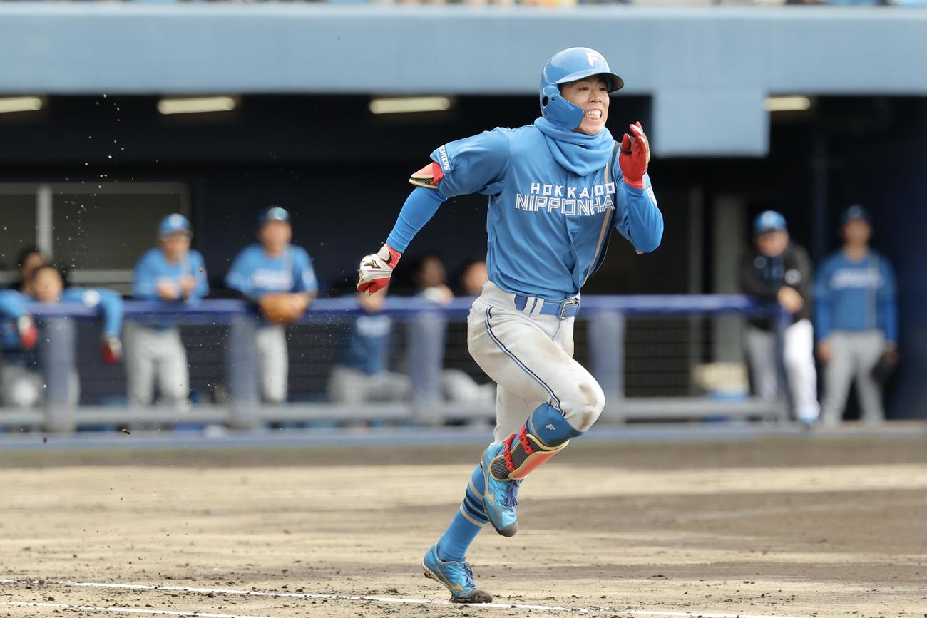 紅白戦　6回表、内野安打を放つ五十幡（撮影・河田真司）