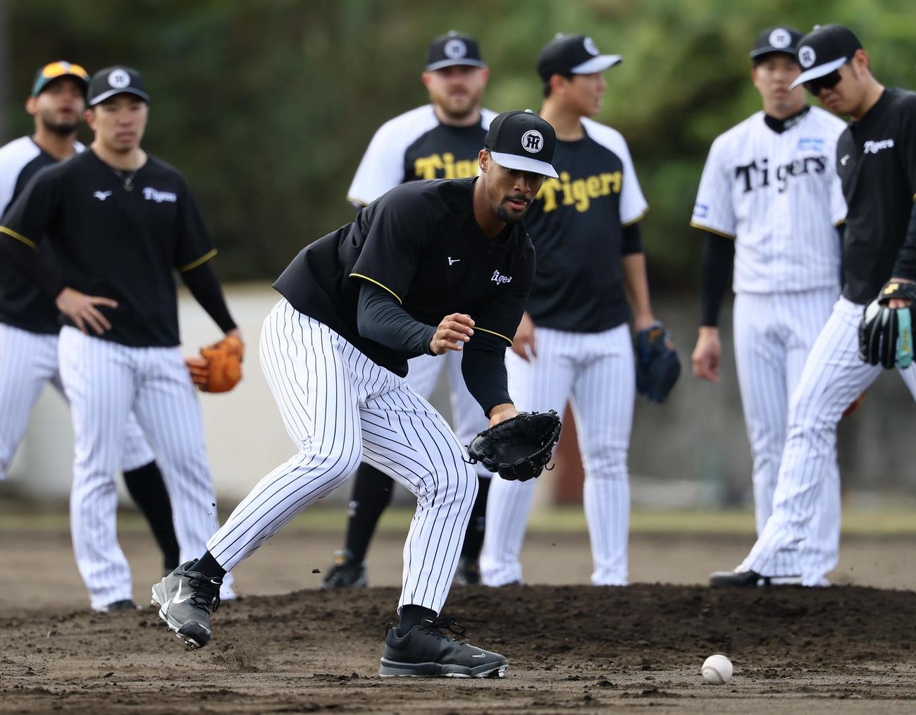 ノックを受ける阪神デュプランティエ（撮影・藤尾明華）