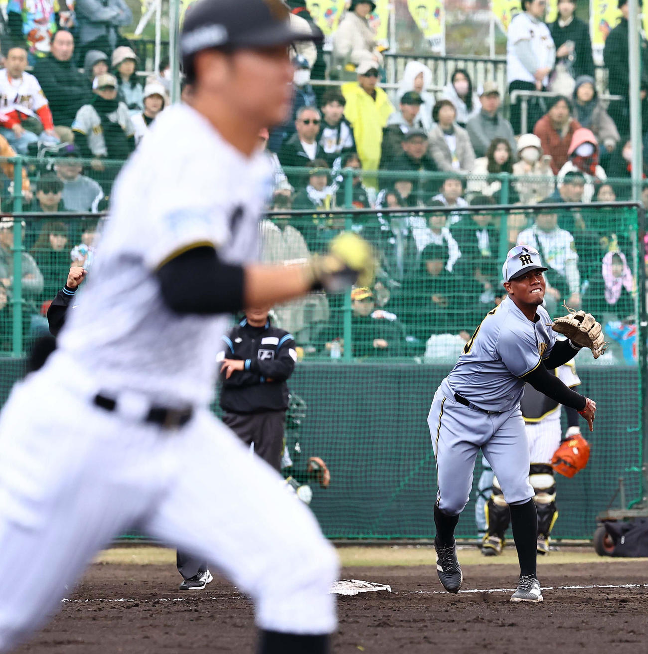 紅白戦　4回裏白組1死一、二塁、アルナエスは井坪の三ゴロをさばき併殺とする（撮影・上田博志）