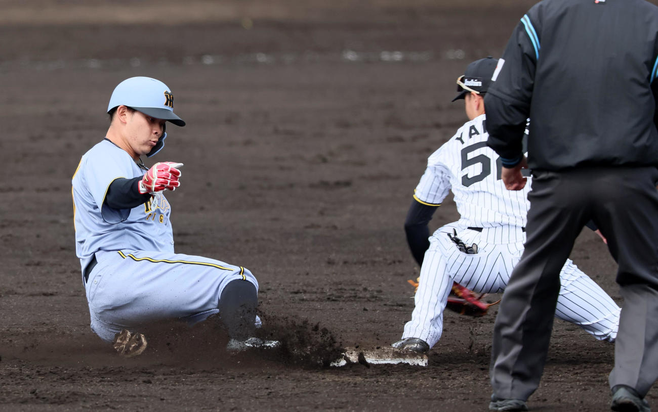 紅白戦　3回表紅組2死一塁、打者アルナエスのとき一塁走者野口は二塁盗塁決める。野手山田（撮影・加藤哉）