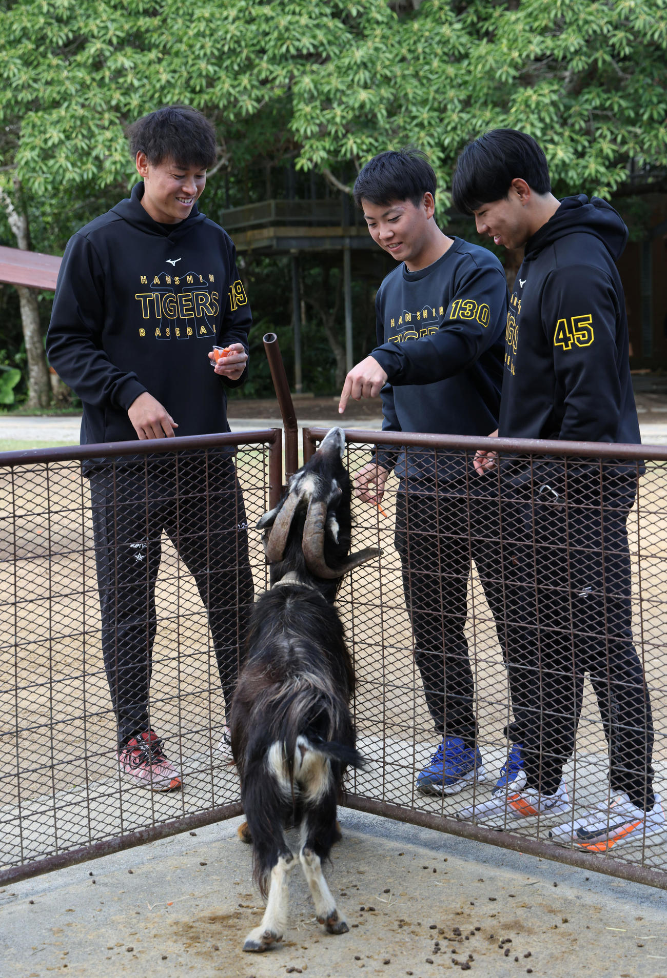 キャンプ休日で、動物と触れ合う左から阪神早川、川崎、工藤（撮影・藤尾明華）