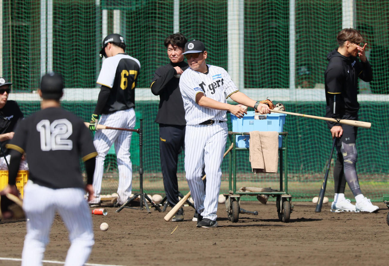 2日、坂本（左）ら捕手陣にノックを打つ阪神野村コーチ（撮影・加藤哉）