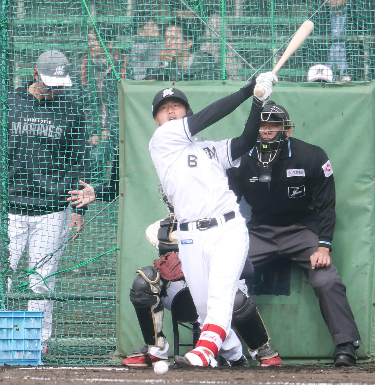 フリー打撃するロッテ西川（撮影・宮地輝）