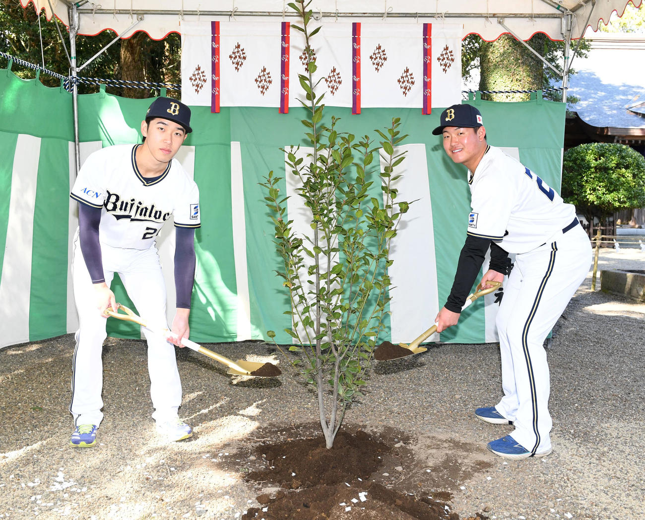 小戸神社で植樹を行ったオリックス内藤鵬（右）と斎藤（撮影・前岡正明）