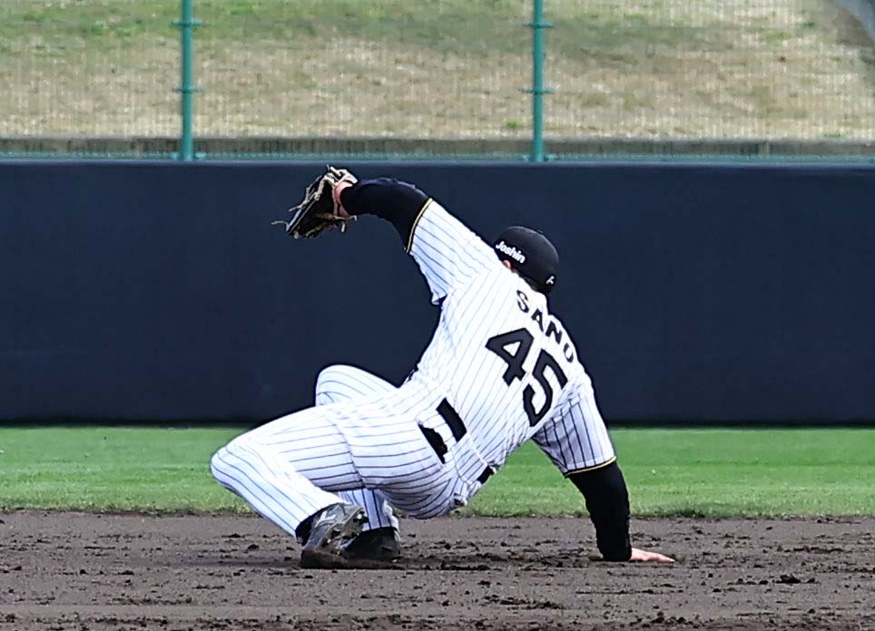 8日紅白戦で遊ゴロを軽快にさばく佐野大陽