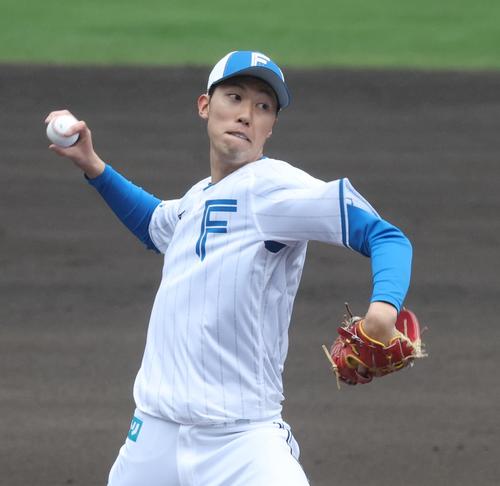 日本ハム福島蓮