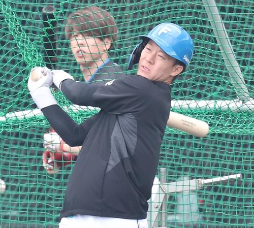 日本ハム春季キャンプ　日本ハム矢沢宏太