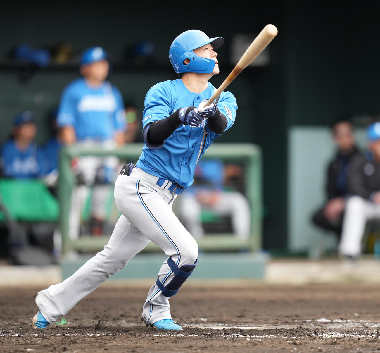 楽天対日本ハム　2回表日本ハム1死一、三塁、中犠飛を放つ矢沢（撮影・鈴木みどり）