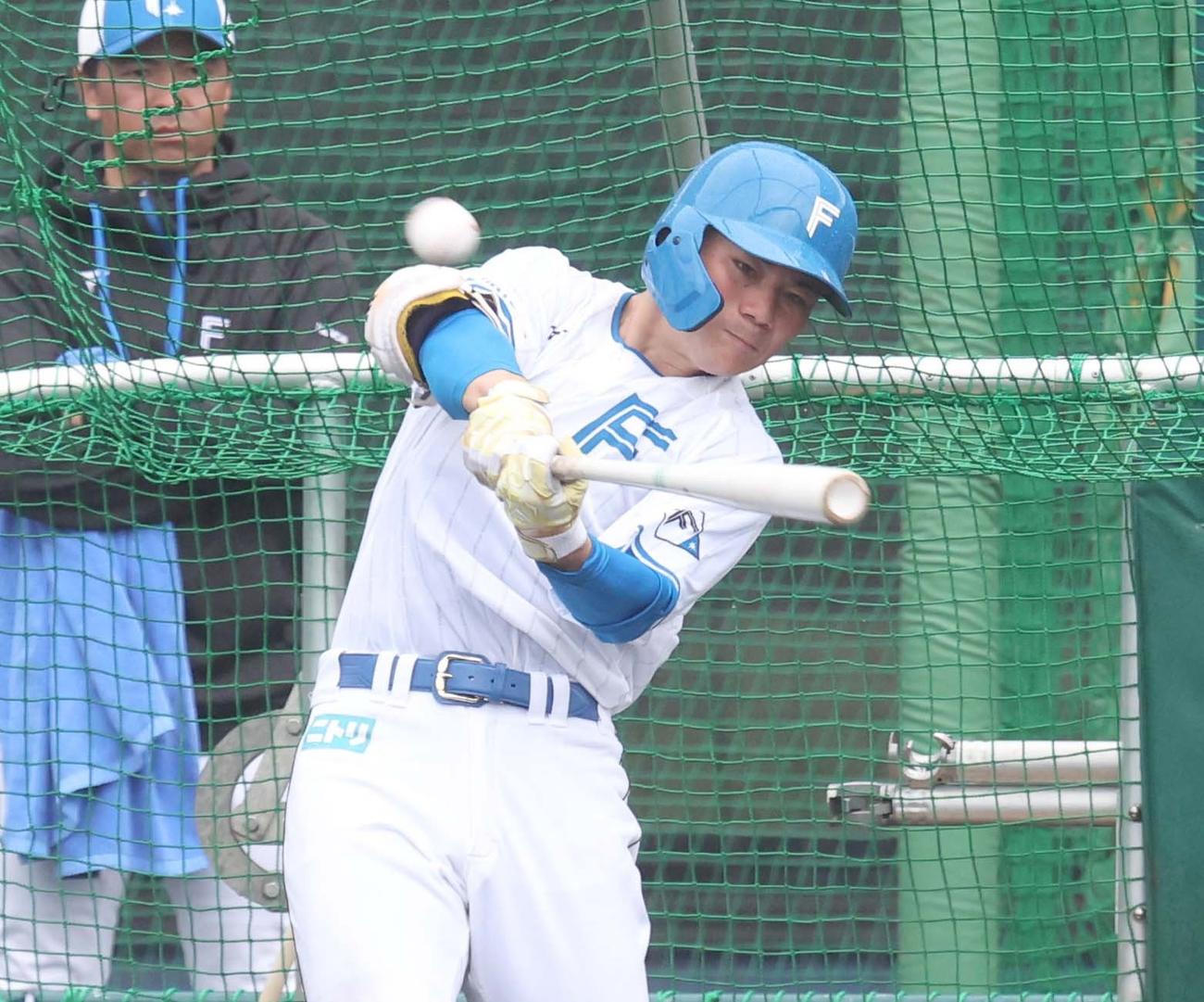 1日、フリー打撃する日本ハム清宮幸（撮影・黒川智章）
