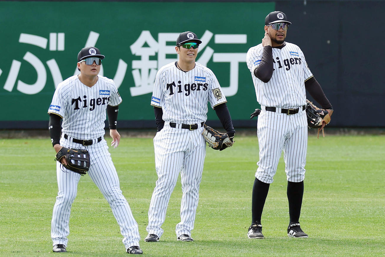 シートノックで左翼に入る、左から阪神前川、豊田、ヘルナンデス（撮影・前田充）
