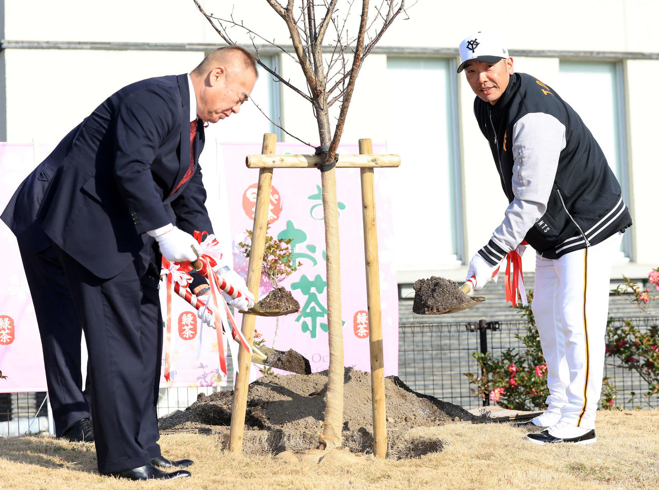 桜の植樹に登場した巨人阿部監督（右）（撮影・浅見桂子）