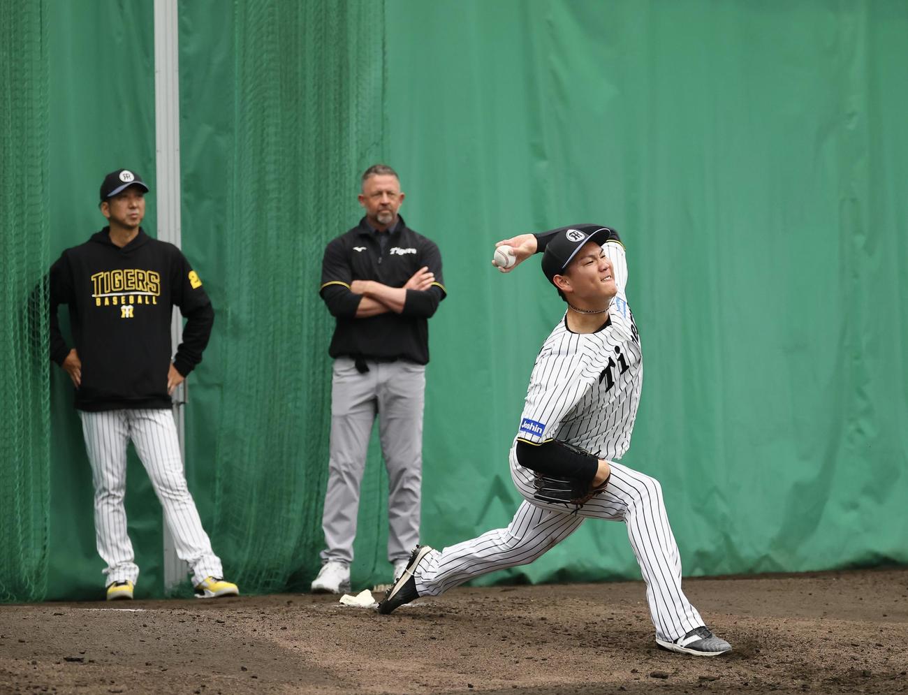 ブルペンで藤川球児監督（左）とジェフ・ウイリアムス駐米スカウトが見つめる中、投球練習する及川雅貴（右）（撮影・藤尾明華）