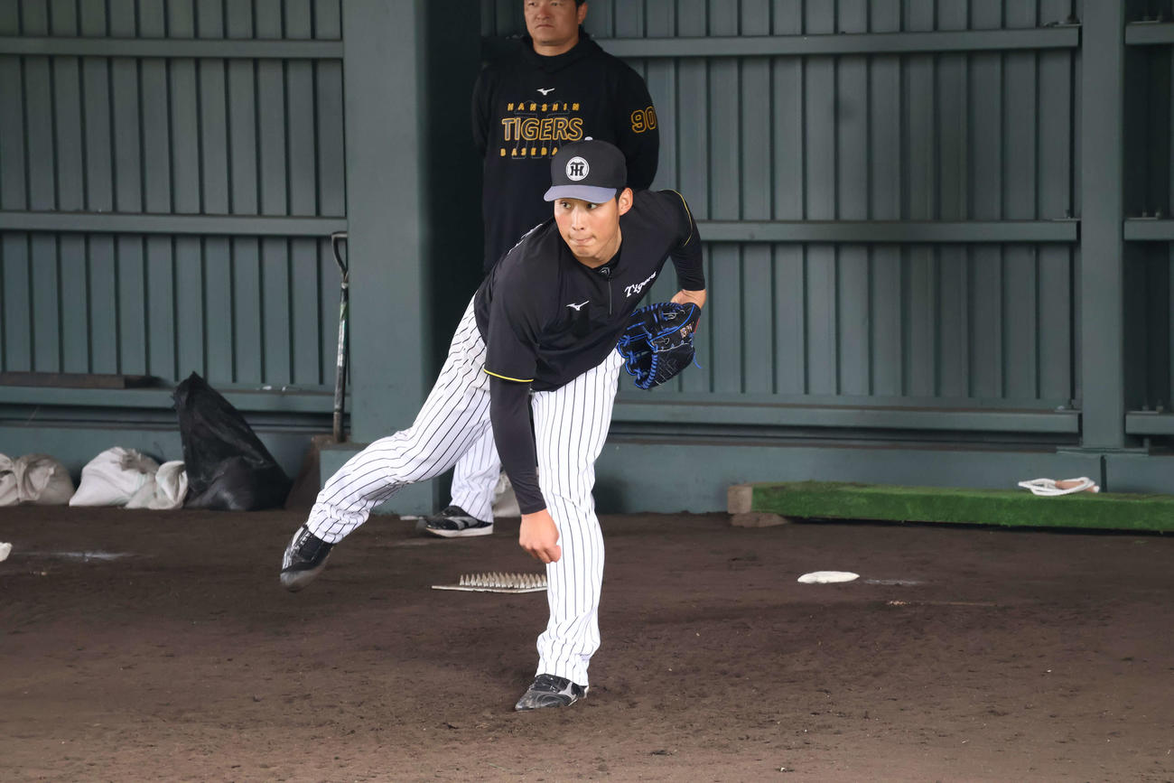 具志川キャンプでブルペン入りした阪神佐藤蓮（撮影・山崎健太）