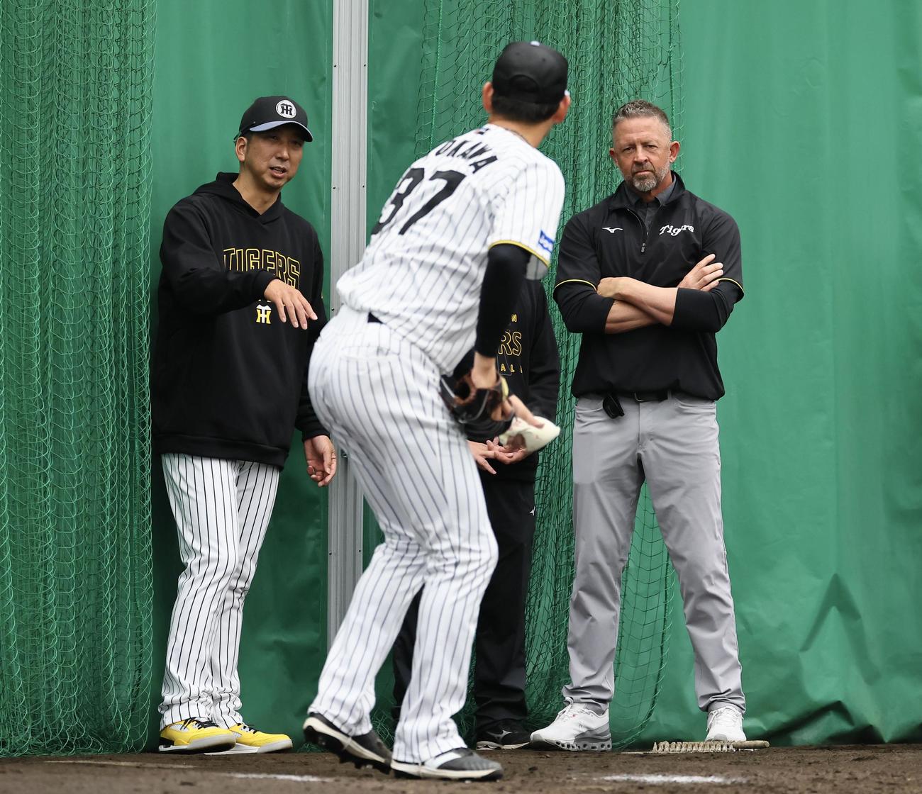 ブルペンで及川雅貴に指導する藤川監督（左）とジェフ・ウイリアムス駐米スカウト（撮影・藤尾明華）