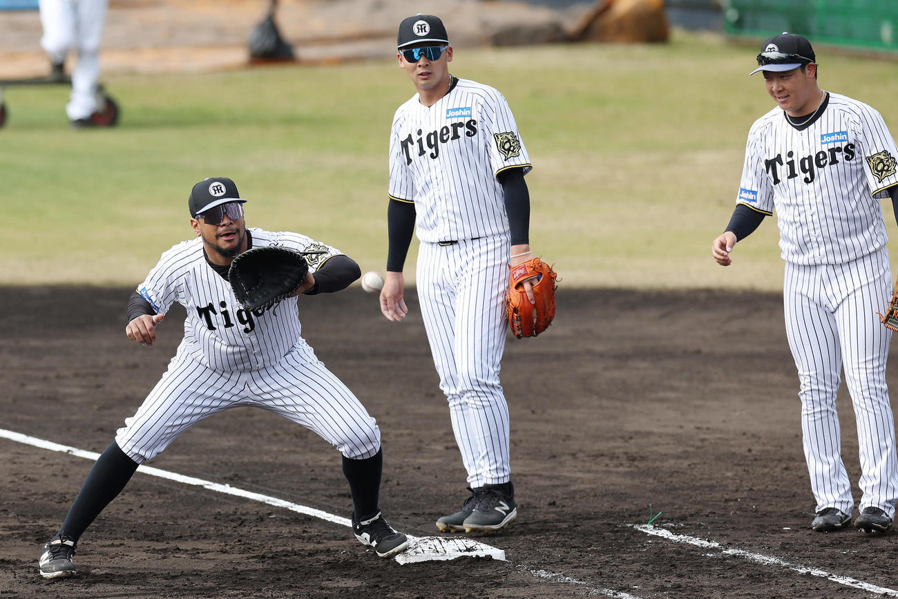一塁でシートノックを受ける、左から阪神ヘルナンデス、井上、大山（撮影・前田充）