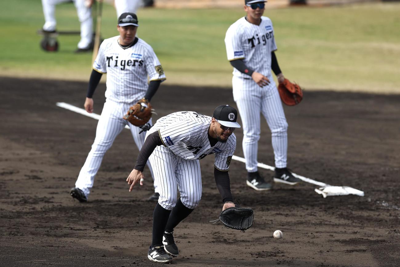 一塁でシートノックを受ける阪神ヘルナンデス。左は大山、右は井上（撮影・前田充）