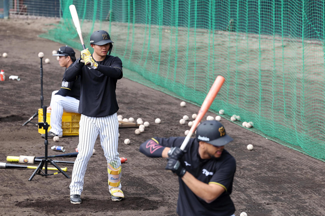 打撃練習を行う阪神森下（左）とヘルナンデス（撮影・前田充）