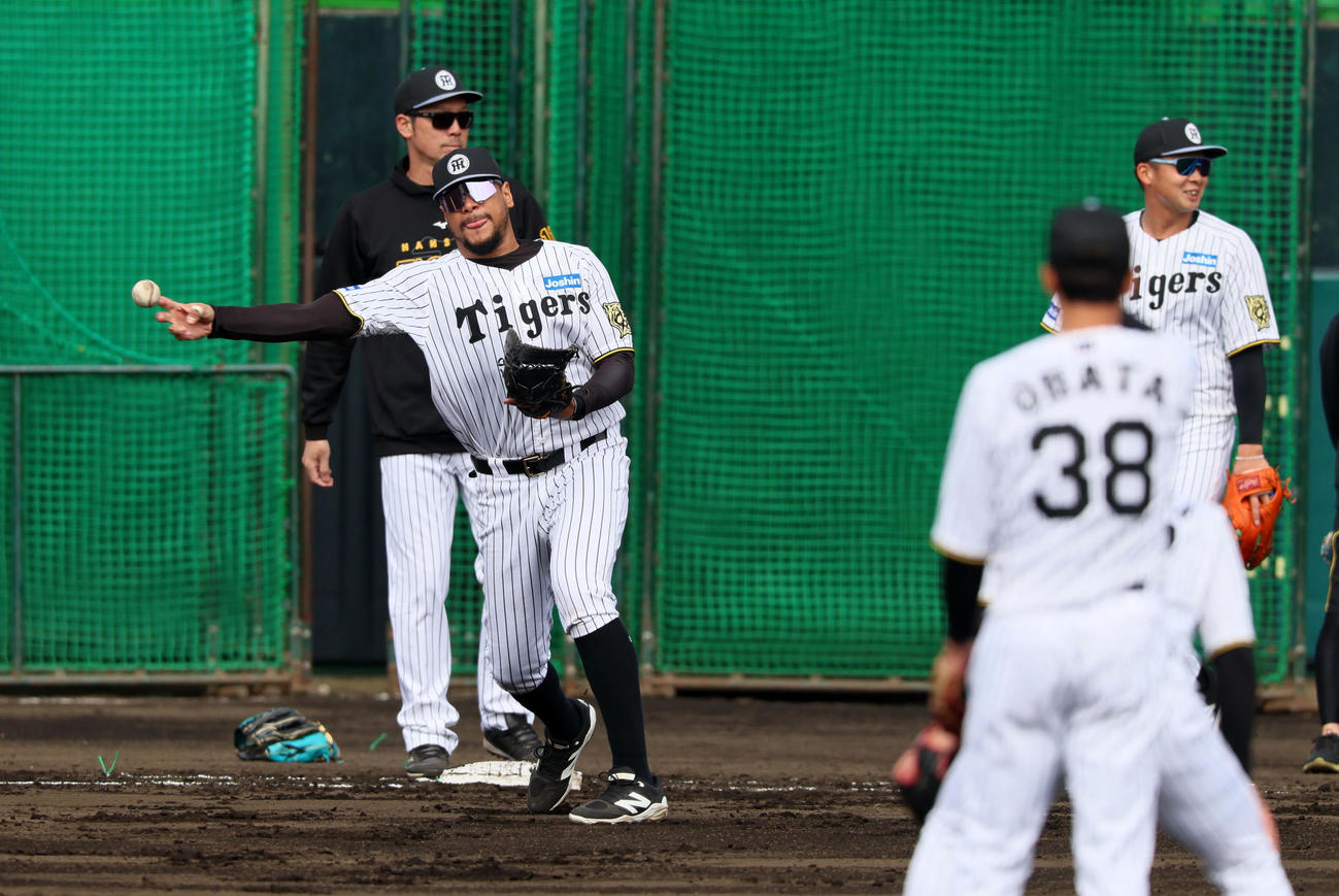 シートノックで左翼に続いて一塁も守ったヘルナンデス（撮影・加藤哉）