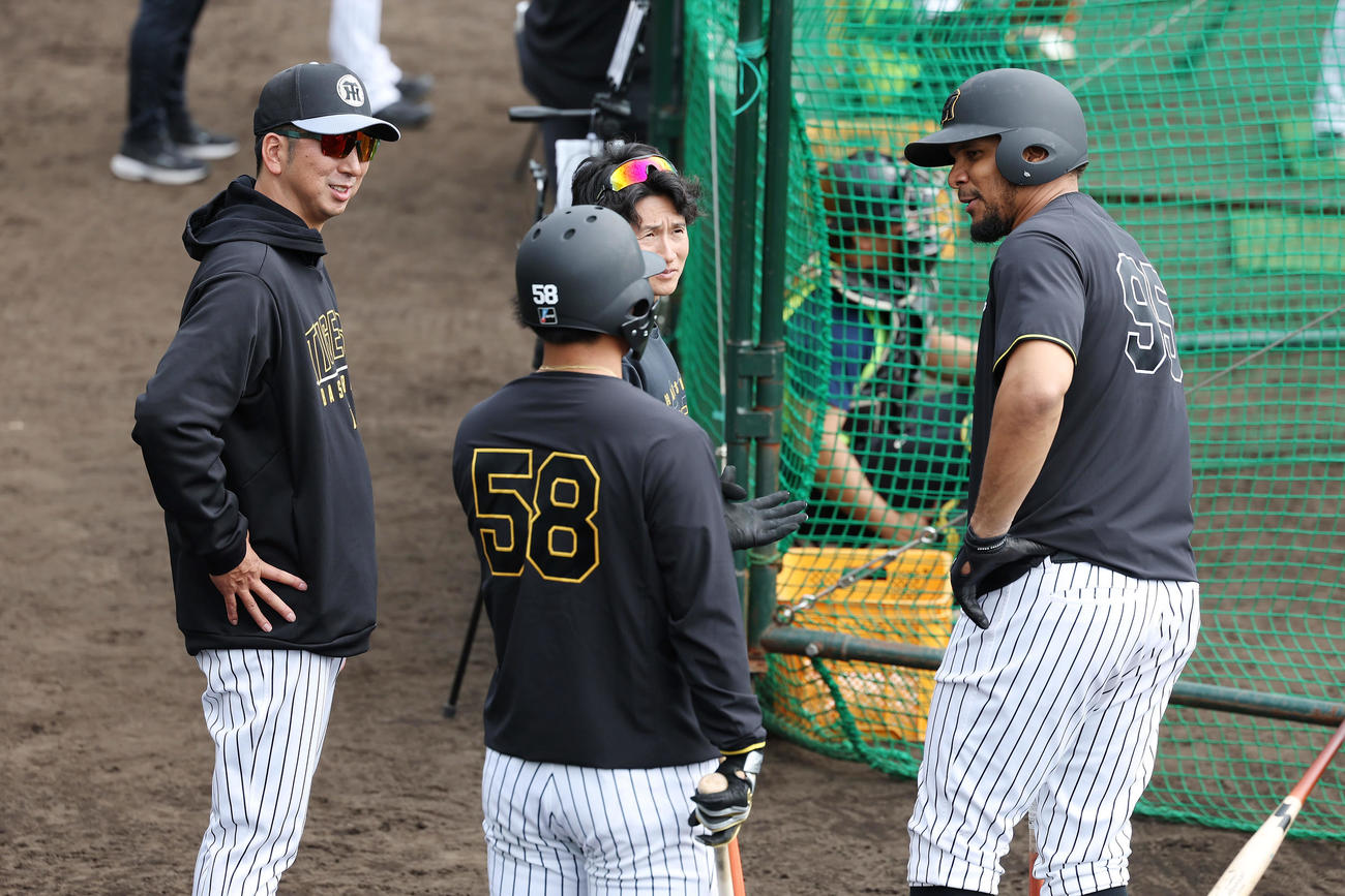 打撃練習をする阪神ヘルナンデス（右）、前川（中央手前）と言葉を交わす藤川監督（撮影・前田充）