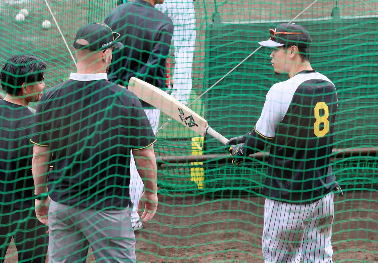 クリケットバットを握る佐藤輝（右）と話し合うサンズ氏（撮影・加藤哉）