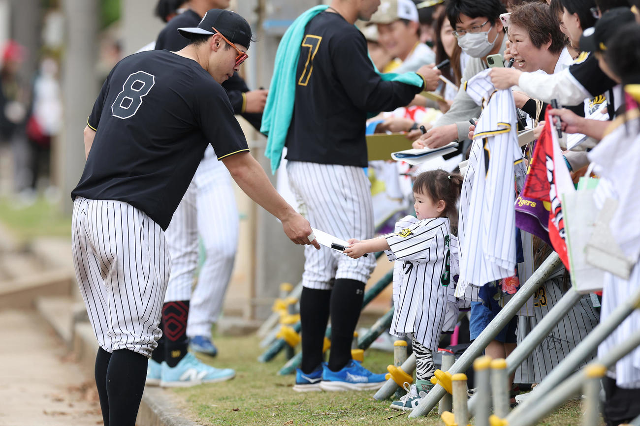ファンにサインする阪神佐藤輝（撮影・前田充）