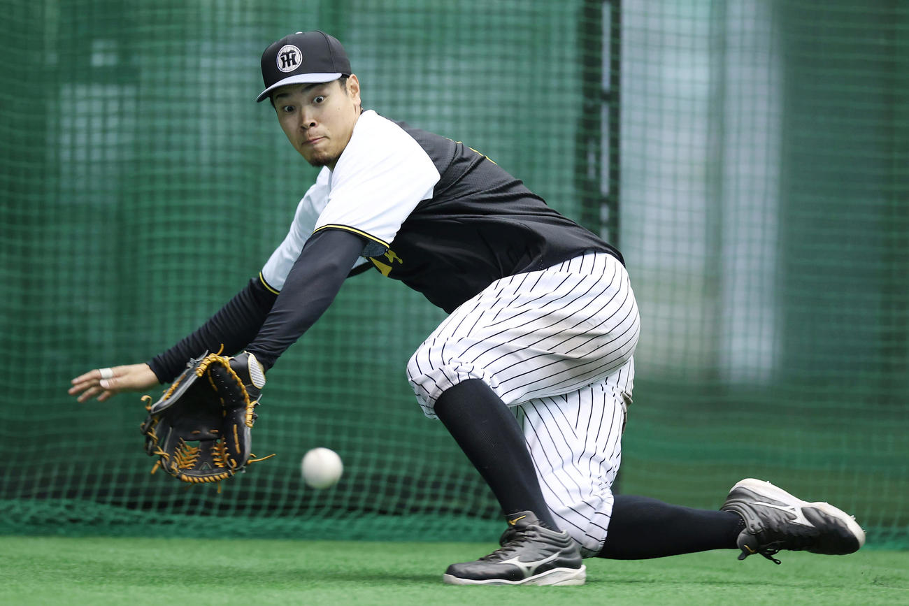 室内練習場で特守を受ける阪神佐藤輝（撮影・前田充）