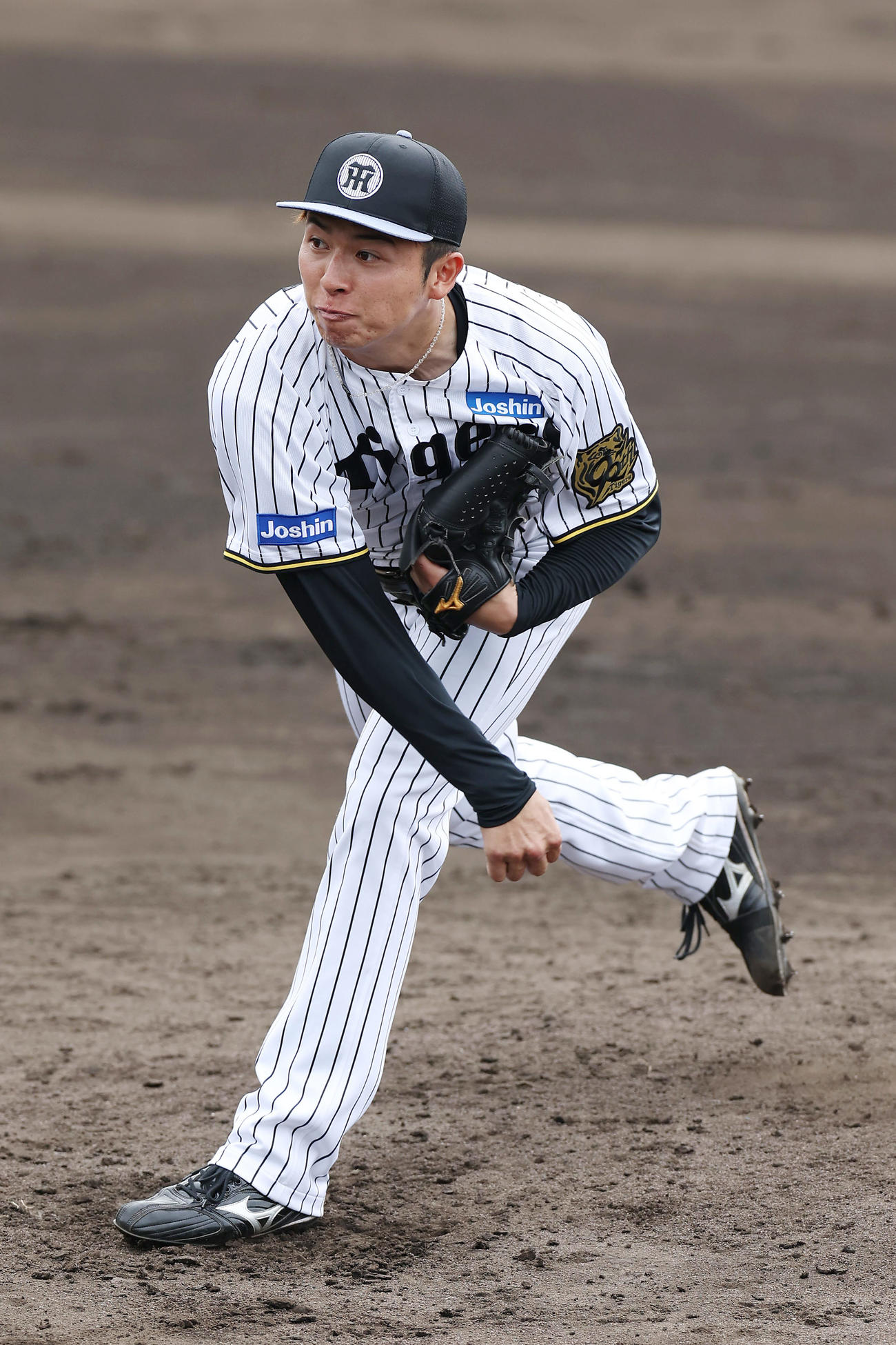ケース打撃に登板する阪神椎葉（撮影・前田充）
