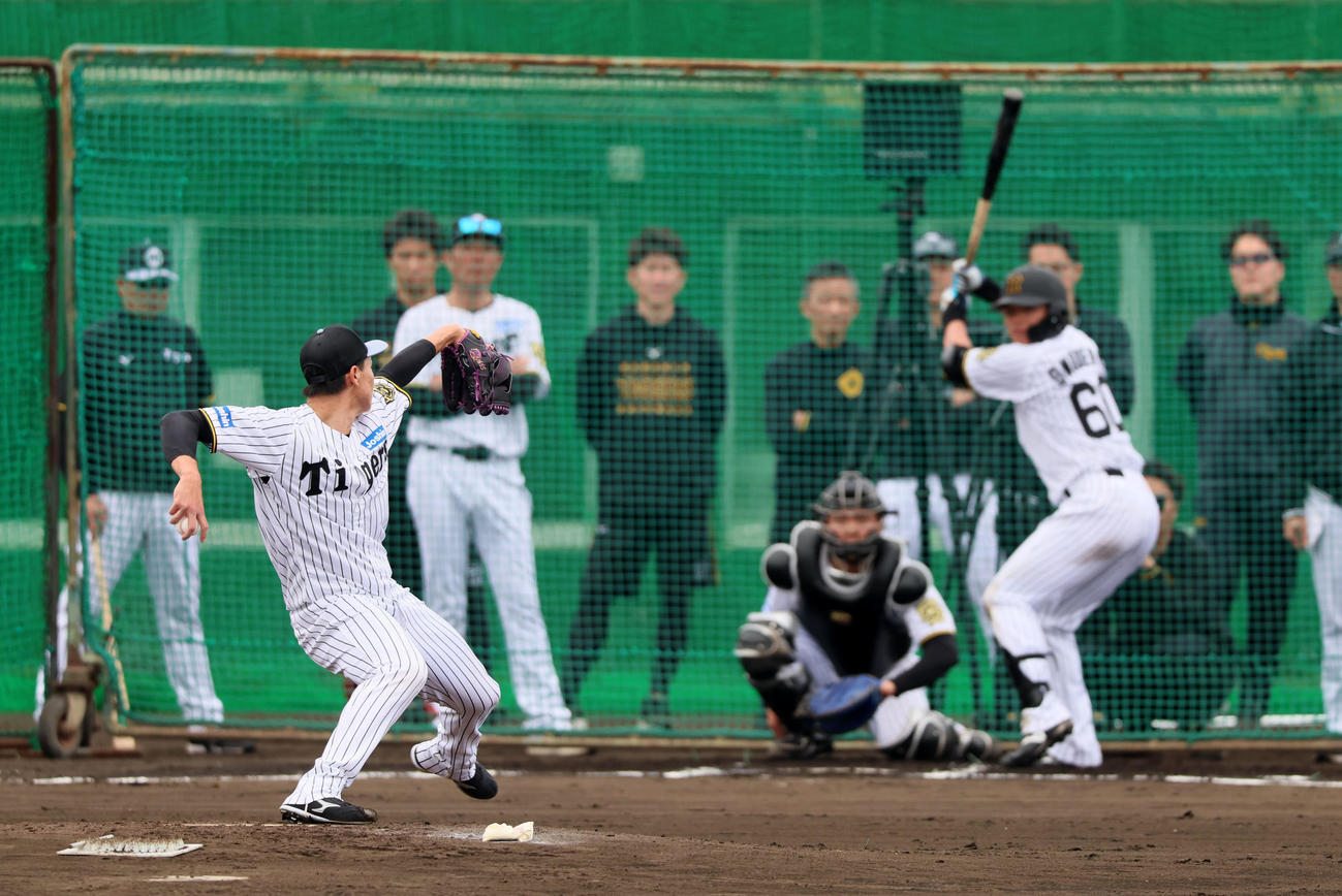 シート打撃で小野寺と対戦する湯浅（撮影・加藤哉）