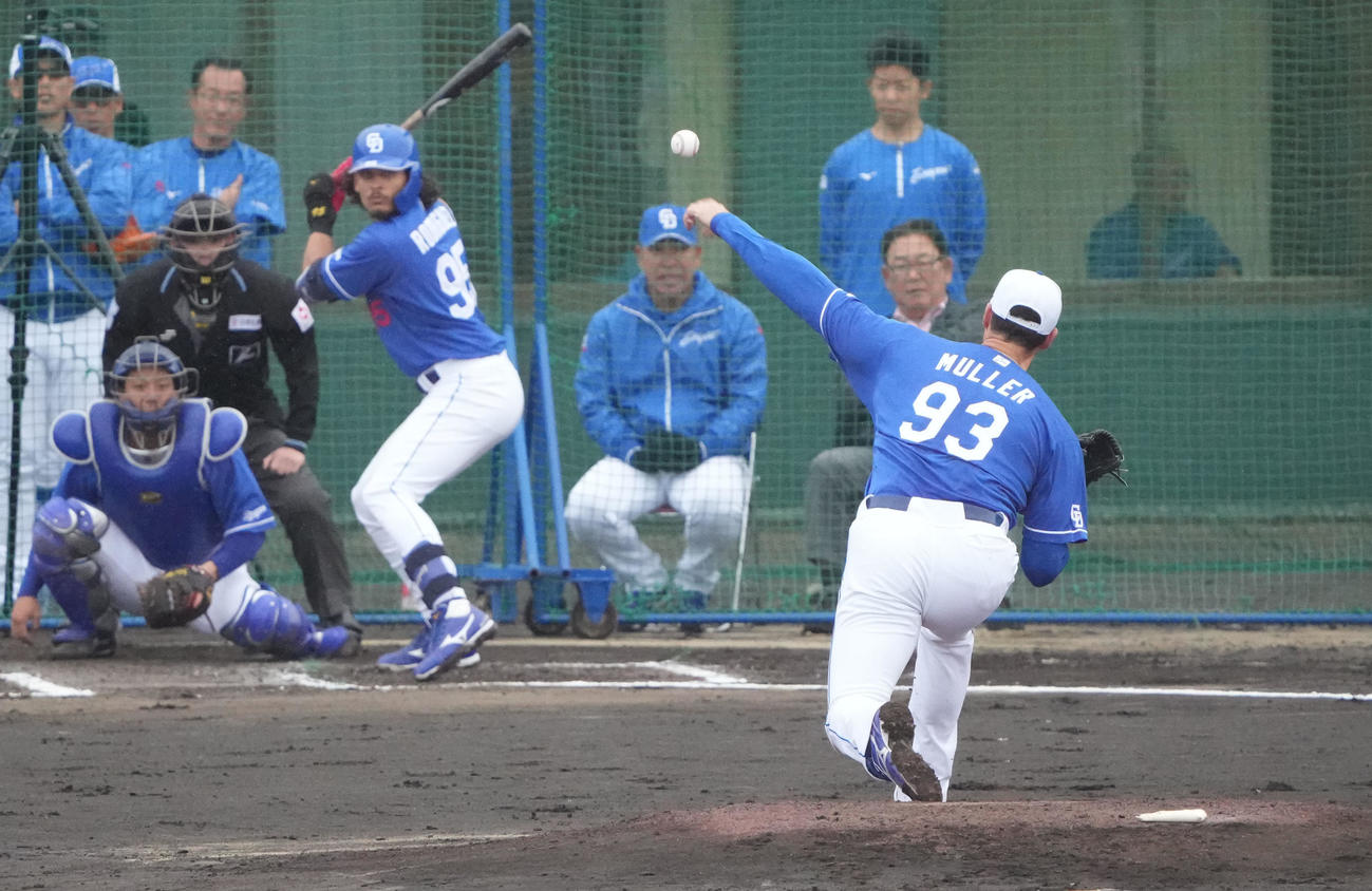 シート打撃練習に登板するマラー（撮影・森本幸一）