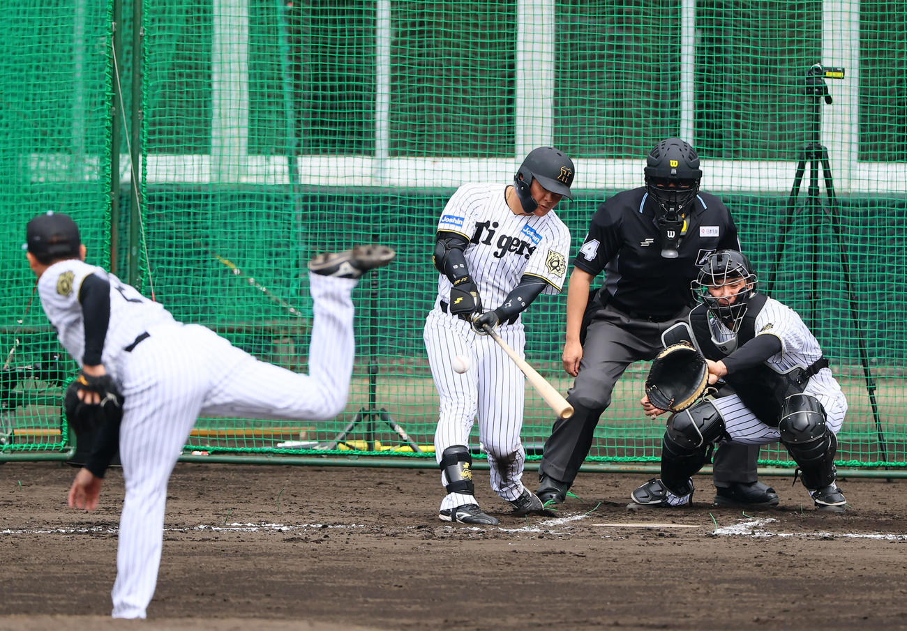 ケース打撃の無死一塁で、右前打を放つ前川＝2025年2月12日、バイトするならエントリー宜野座スタジアム