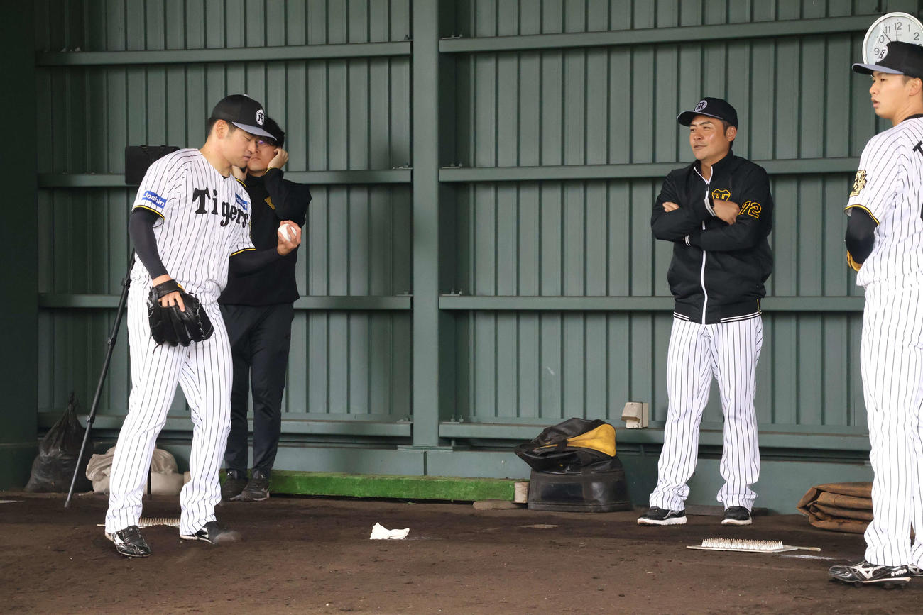 ブルペンで握りを確認する阪神伊藤稜（撮影・山崎健太）