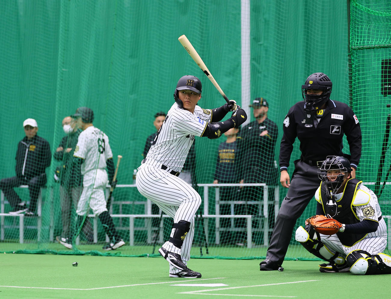ブルペンで打席に入る前川（撮影・藤尾明華）