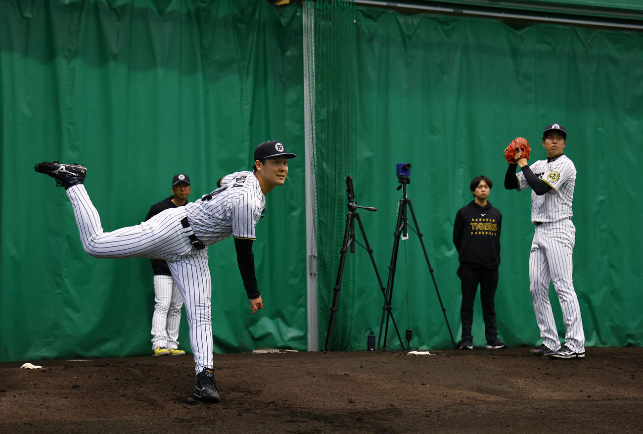 ブルペンで投球練習をする木下（左）と才木。奥左は藤川監督（撮影・藤尾明華）