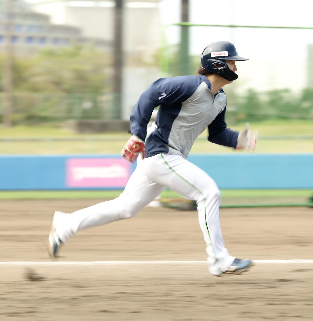 走塁練習するヤクルト長岡（撮影・河田真司）