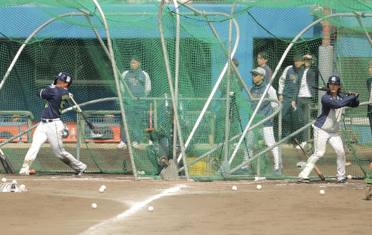 打撃練習するヤクルト村上（左）と長岡（撮影・河田真司）