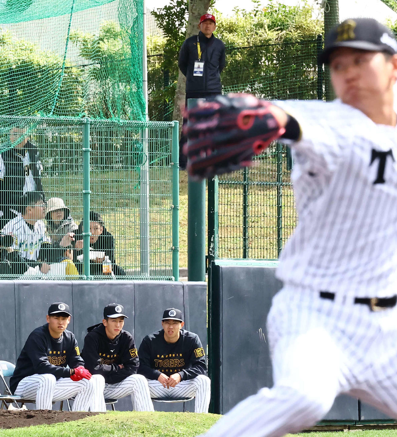 8日、紅白戦に先発した門別（手前）の投球を見つめる工藤（左から3人目）、左から早川、今朝丸（撮影・上田博志）