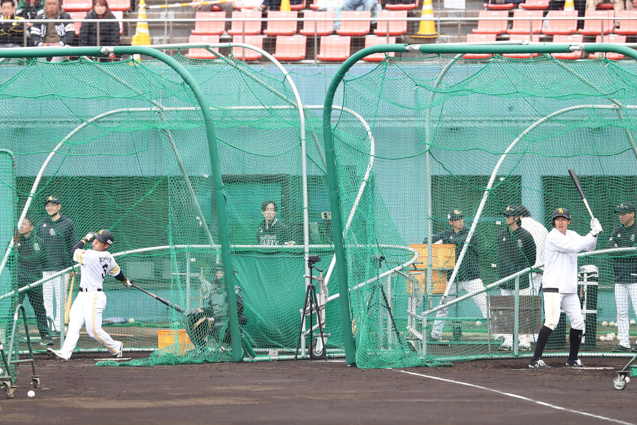 打撃練習を行う近藤、右のゲージは柳田（撮影・梅根麻紀）