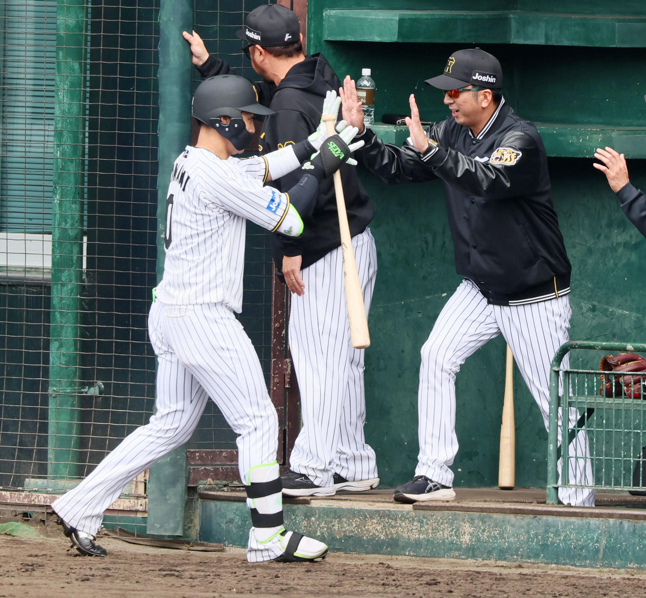 阪神対楽天　2回裏阪神無死、木浪の右越えソロ本塁打にベンチ前でタッチする藤川監督（撮影・加藤哉）