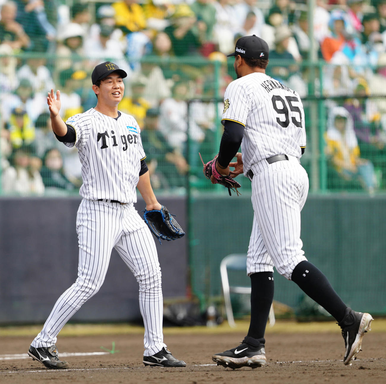 阪神対楽天　5回表終了後、阪神ヘルナンデス（右）とタッチを交わす3番手の畠（撮影・江口和貴）